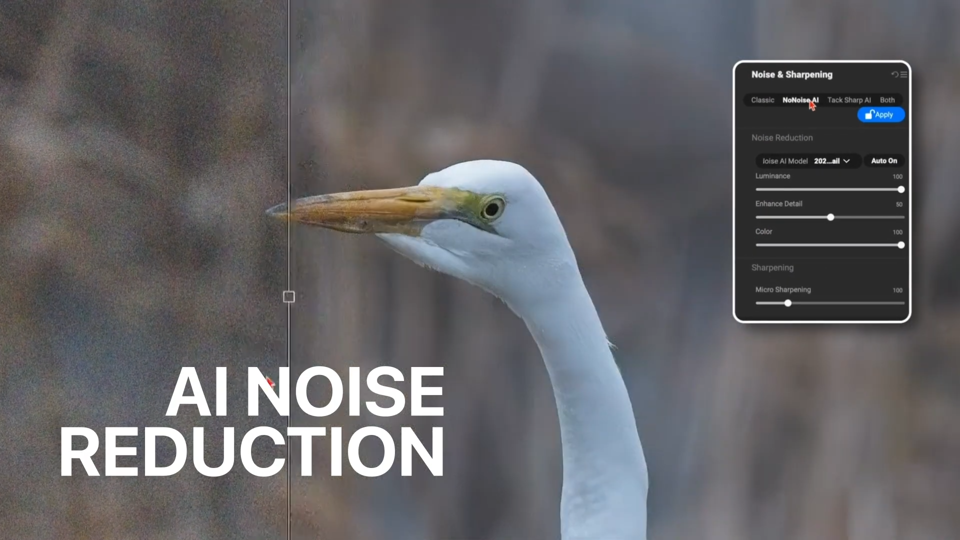 RAW文件转换和处理