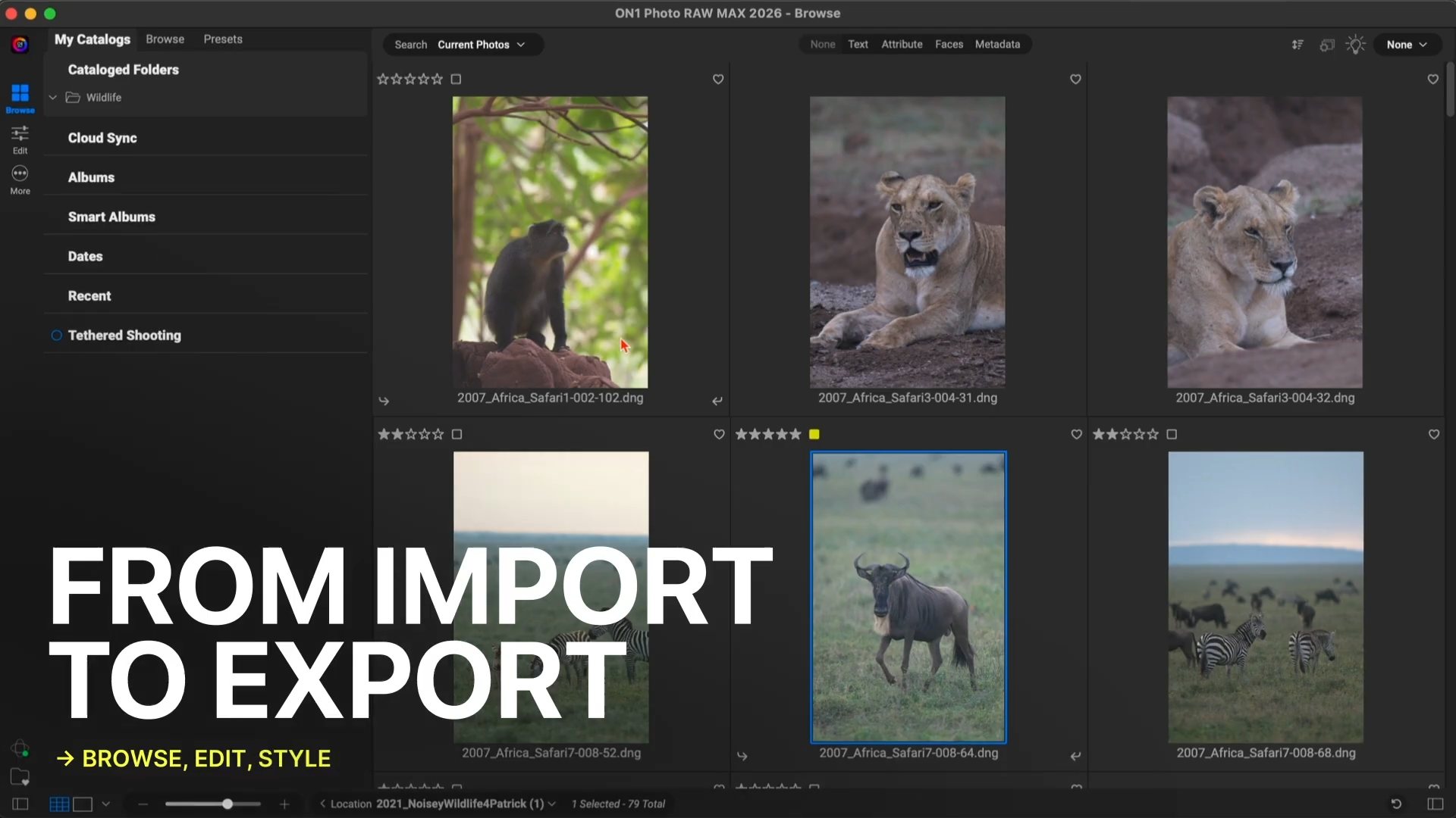 专业照片编辑工具