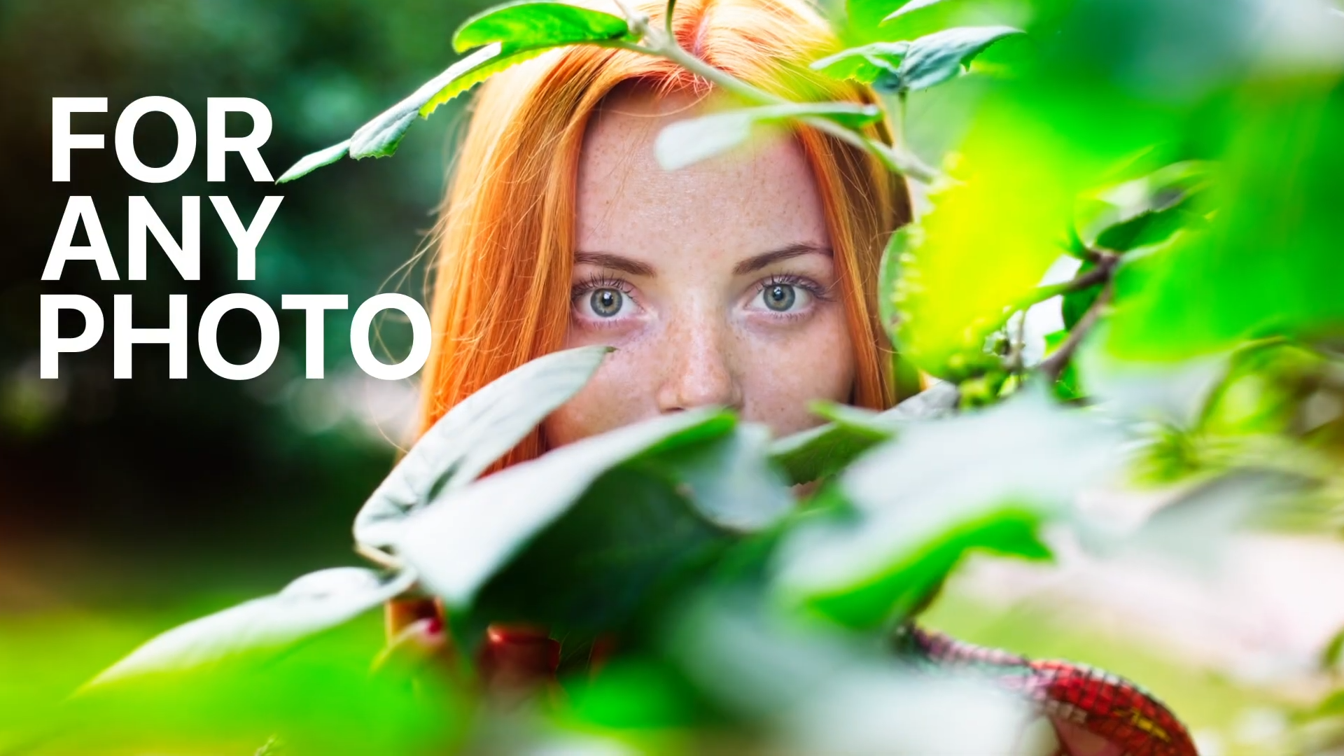 图层和蒙版功能